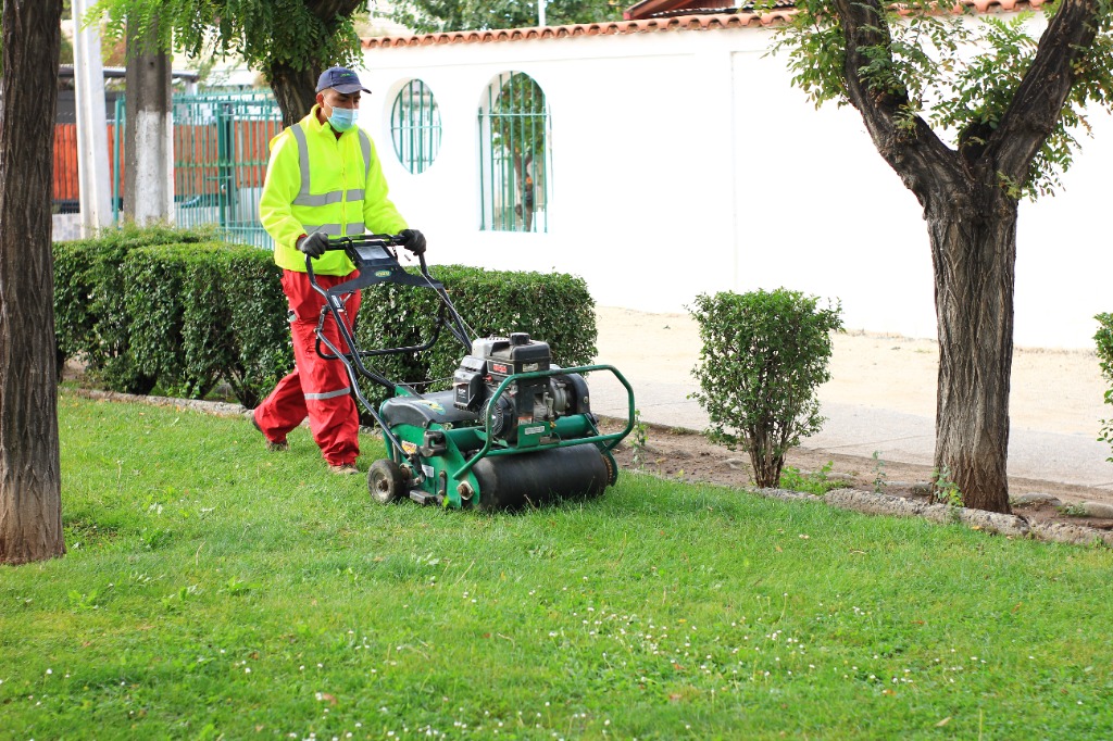 Cuidado y Corte Especializado de Césped Reciclo