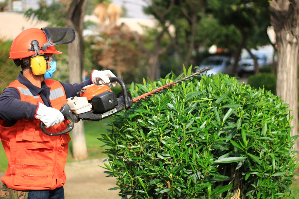 Mantención y Perfilado de Áreas Verdes Reciclo